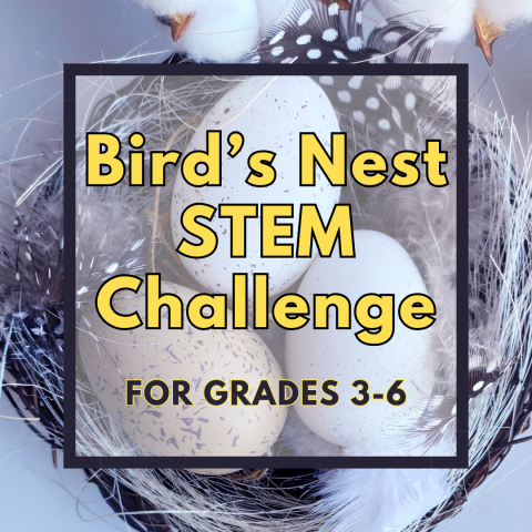 Graphic for Bird's Nest STEM Challenge with background image of eggs in a bird's nest with subtitle "for grades 3-6".