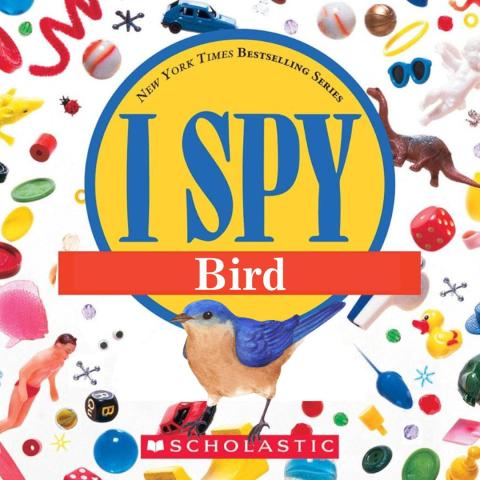 Bird I Spy