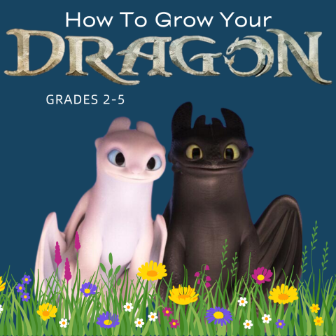 text: How to grow your dragon, picture of toothless and light fury the dragons