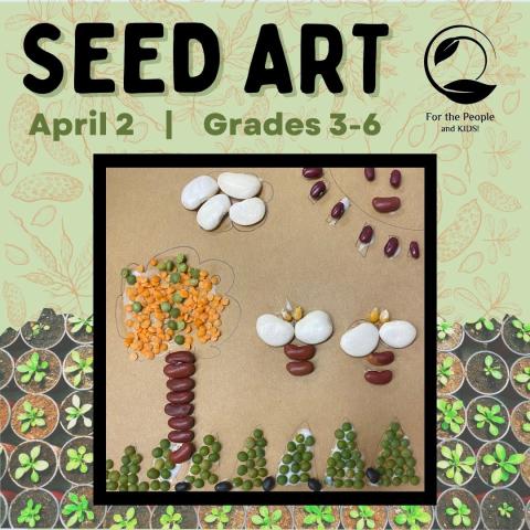 Seed Art