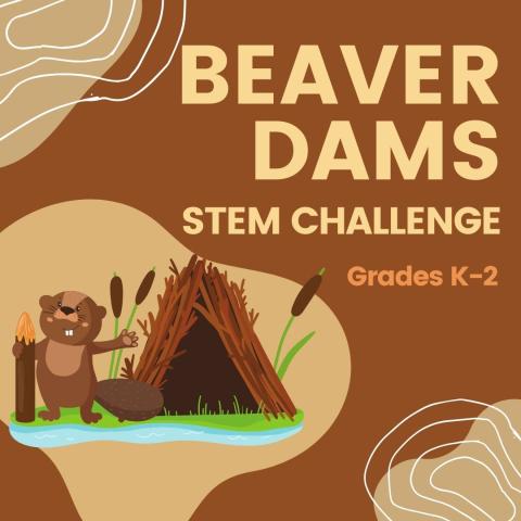 Beaver Dams