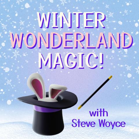 Winter Wonderland Magic