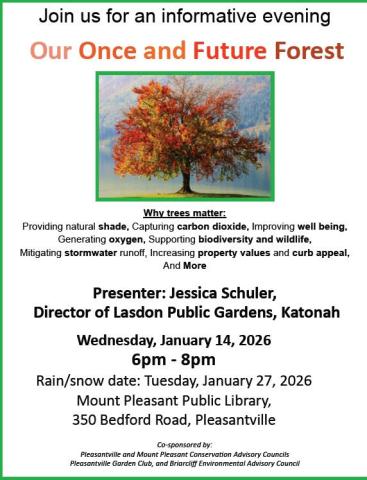 Not exact representation